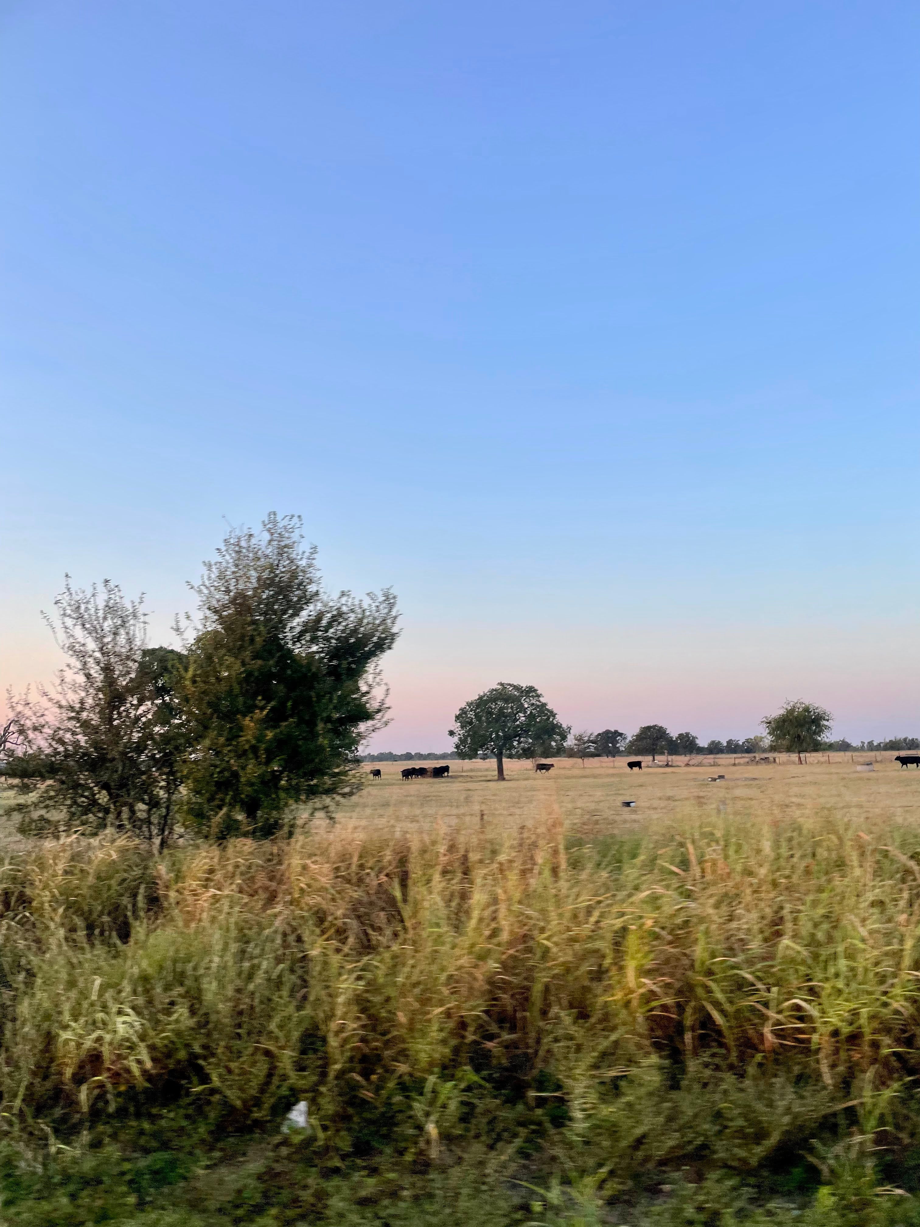 Round-Top-Texas-with-MFM Mary Frances Maker